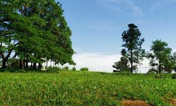 Imagem 3: Chácara à venda 2 Quartos, 20 Vagas, 105875M², Recreio Tsuriba, Campinas - SP