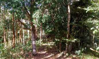 Imagem 7: Sítio na serra com ponto comercial