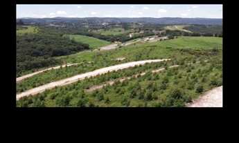 Imagem 3: Busca Um Terreno Pra Fazer Seu Lar/Lazer ?? Encontrou