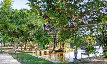 Imagem 7: Casa em Condomínio de 180m² em Barreirinhas Porteira Fechada e Piscina 03 Quartos MKT***TR