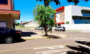 Imagem 2: Toledo - Apartamento - Jardim Gisela