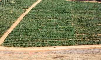 Imagem: Sítio com 1 dormitório à venda, 411400