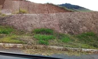 Imagem 3: Lote em rio pomba