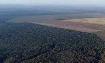 Imagem 3: FAZENDA DE SOJA 44.000 HECTARES 17.000 EM PLANTIO