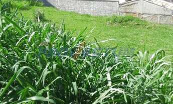 Imagem 7: Terreno - Loteamento Caminhos de São Conrado (Sousas) - Campinas