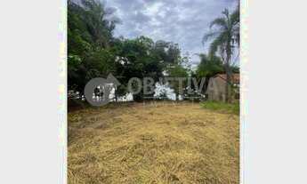 Imagem 7: Venda Rancho REPRESA DE MIRANDA