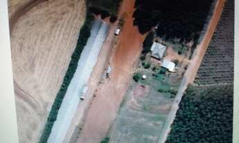 Imagem 5: Chácara com aviário de frango