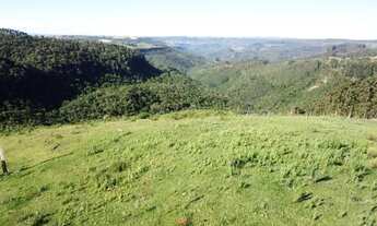 Imagem 4: Belíssimo Sítio com 21,00 ha Serra Catarinense