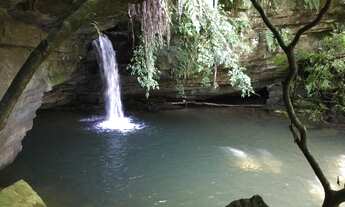 Imagem 3: Belíssimo Sítio com 21,00 ha Serra Catarinense