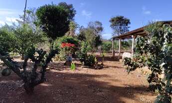 Imagem 2: Vendo Sítio Chácara com venda por R$320.000