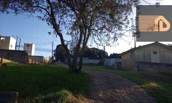 Imagem 2: TERRENO 5.000m² COLOMBO