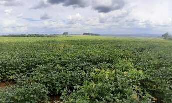 Imagem 3: Fazenda/Sítio/Chácara para venda com metros quadrados
