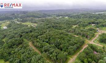 Imagem 6: Chácara à venda, 1000 m² por R$ 150.000 - Borda Do Campo - São José dos Pinhais/PR