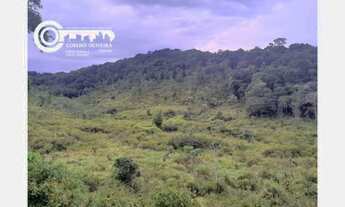 Imagem: Sitio a venda em Eldorado SP