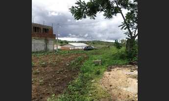 Imagem 3: Lotes em Serra de São Bento RN