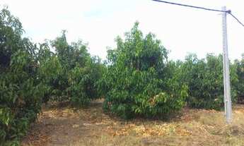 Imagem 5: Venda de lote agrícola telefone