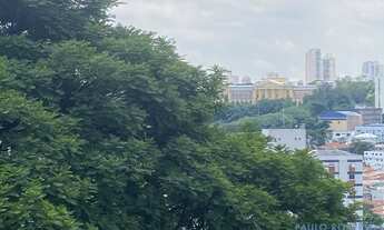 Imagem 4: APARTAMENTO - CAMBUCI - SP