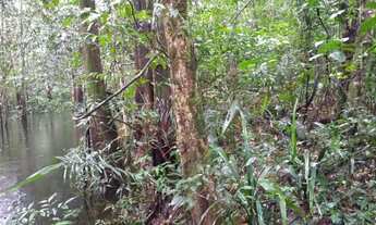 Imagem: Venda de propriedade