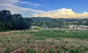 Imagem 7: TERRENO RS 324 - 1 HA