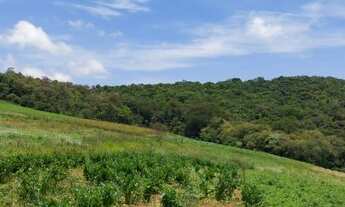 Imagem 7: 03o-Oportunidade! Compre agora o seu terreno!!