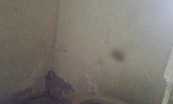 Imagem 7: Galpão - Parque Dom Pedro II - Campinas