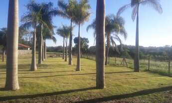 Imagem 5: Terreno na Rodovia Mábio Gonçalves Palhano com 2200m² de área, próximo ao condomínio Sun L