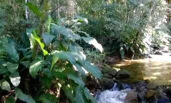 Imagem 6: São Bonifácio - Sítio - Rio do Ponche