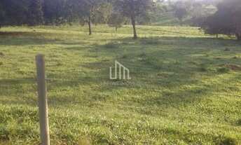 Imagem 4: Terreno, Setor Central, Inhumas - GO