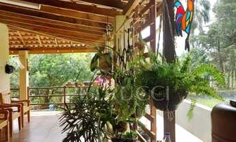 Imagem 3: Sítio - São Jose do Mato A Dentro - Ouro Fino