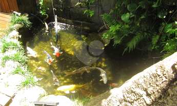 Imagem 5: Caieiras - Casa Padrão - Santa Inês