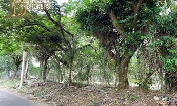 Imagem 4: Terreno/lote ótima localização , acesso asfaltado. Valinhos-SP