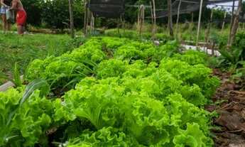 Imagem 6: Fazenda/Sítio/Chácara para venda tem 26910 metros quadrados com 3 quartos