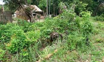 Imagem 2: Vendo ou troco terreno comunidade vila nova