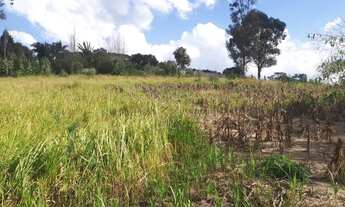 Imagem: VENDO 13 ALQUEIRES PROXIMO A CASTELO BRANCO