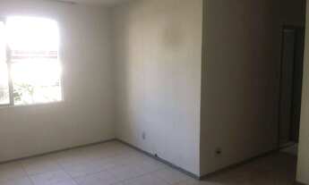 Imagem 5: Jardim das Palmeiras