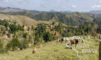 Imagem: SÍTIO 7,5 ALQUEIRES NA ZONA NORTE DE SÃO