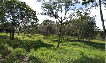 Imagem 5: Fazenda 103 Alqueires em Minas Gerais