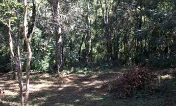 Imagem 3: Vendo chácara Chácara com venda por R$200.000