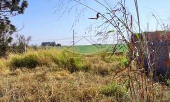 Imagem 4: Toledo - Lote/Terreno - Vila Becker