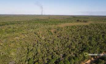 Imagem 4: Fazendas em Tocantins