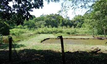 Imagem 4: Vendo Sítio Guapimirim