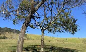 Imagem: VENHA VISITAR NOSSA TERRENO EM ATIBAIA