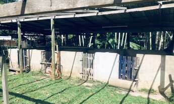 Imagem 3: Vendo sítio Benevides