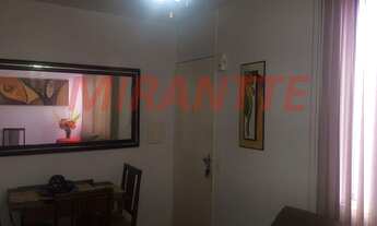 Imagem 3: Lindo apartamento em Lauzane Paulista