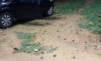 Imagem 5: Propriedade Em Conservatória