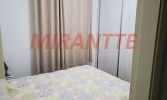 Imagem 6: Apartamento de 62m² com 3 quartos em Vila Amalia