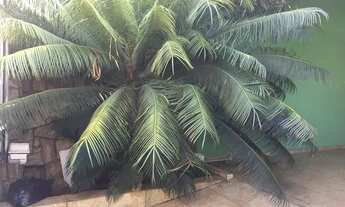 Imagem 3: CASA COM 2 DORMITÓRIOS PARA ALUGAR POR R$ 1.600,00/MÊS - TERRAS DE SANTA CRUZ - BOITUVA/SP