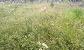 Imagem: Lote na praia do ervino