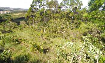 Imagem 4: Terreno 22 Hectares em Desterro de Entre Rios - MG