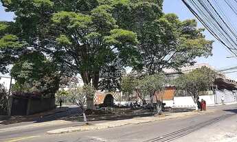 Imagem 6: Cód.: 10522 - Apartamento 2 quartos - São Mateus